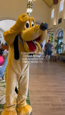 Hotel Review
