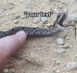 🐍
