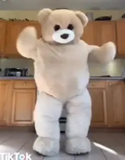 bear