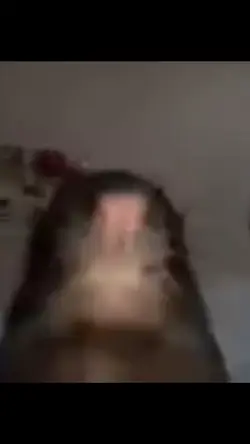 Low quality