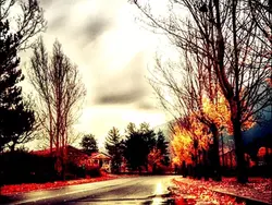 Fall Memories 