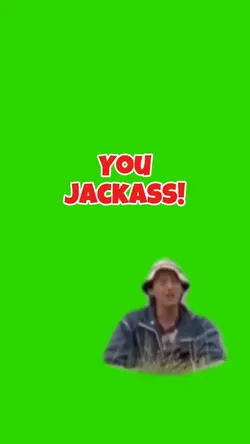 You Jackass