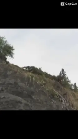 Driving into a lake 