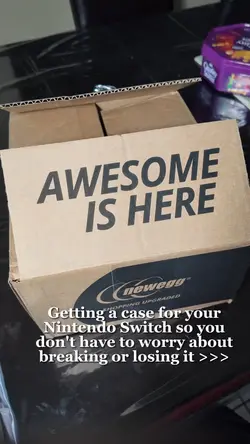 Nintendo Switch Case