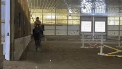 2fail 1fall yesterda