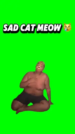 SAD CAT MEOW 😿