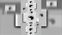 Shadow Projects Scan