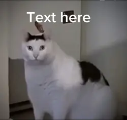 Huh meme 
