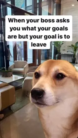 Change text 2 ur ow
