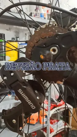 Revisão  bike Prata