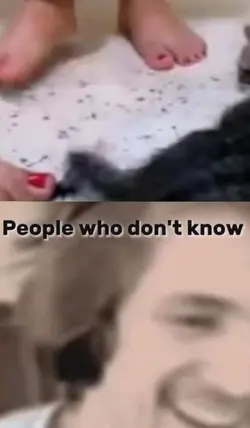 IM CRYING-