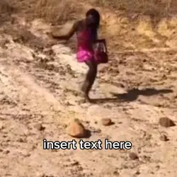 insert text here