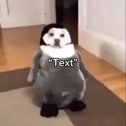 Penguin Dogs