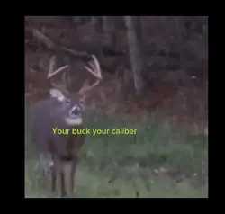 Your buck your cal!