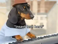 Dog Dancing 