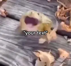 Moan frog