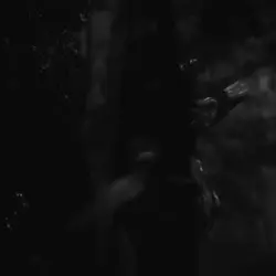 velocity edit