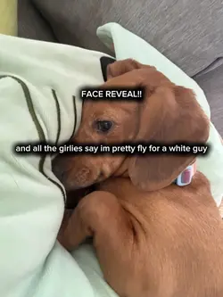 Face Reveal!!