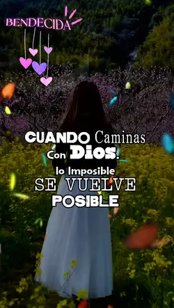 Frases bonitas 🤍