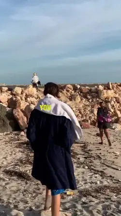 lively video dump