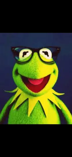 KERMIT THE FROG 😍😍😍😍