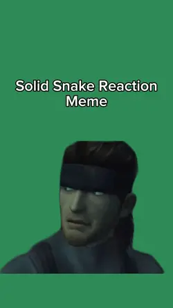 Solid Snake Reaction
