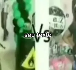 Seu texto