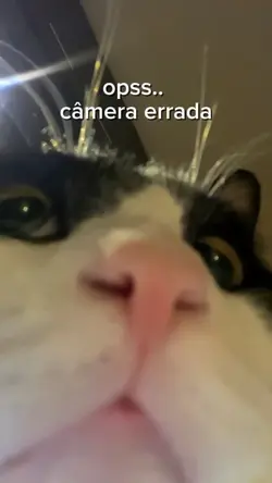 trend tiktok 