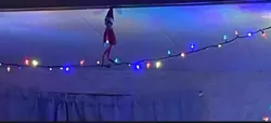 Scott the elf