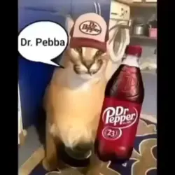 doctah pebba
