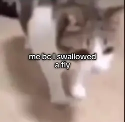 editable text