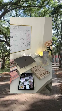 school life