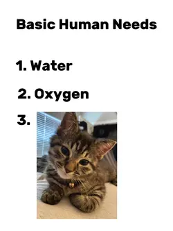 basic human needs: