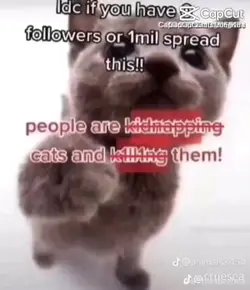 :(((((((((((((((((((