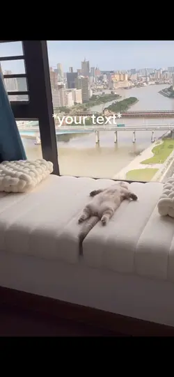 Lazy kitten 