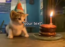 Sad cat birthday