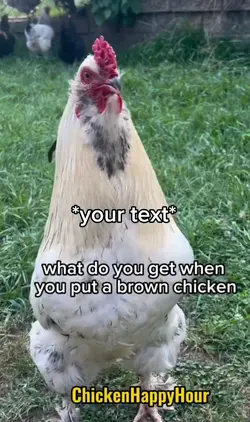 Chicken joke 