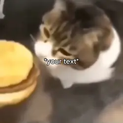 Has cheezeburger