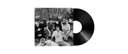fixado disco vinil