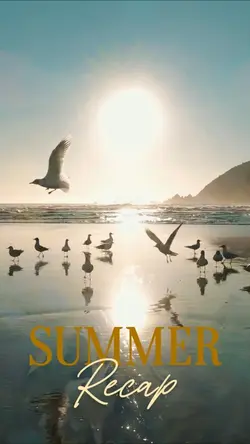Summer recap