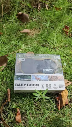 Baby boom