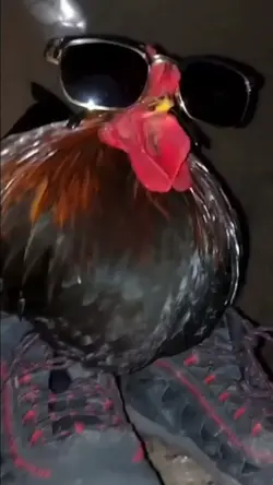 yummy kfc