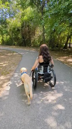 Wheelchair Tour