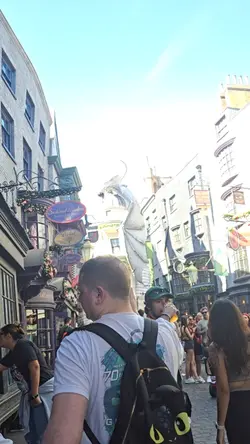 dragon