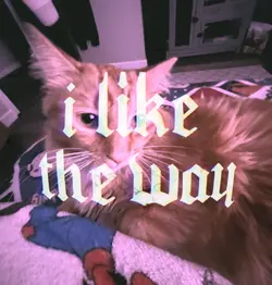 The way you kiss me