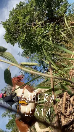 Câmera lenta