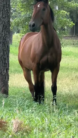 rooster 🙌🏼🥰