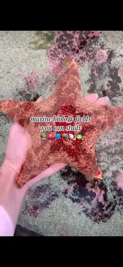 Marine bio