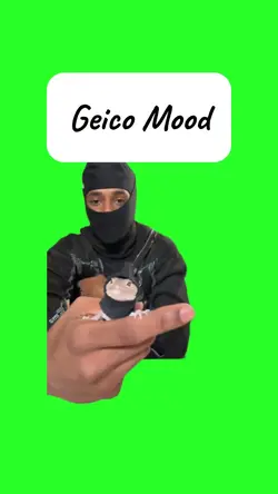 Geico Mood 