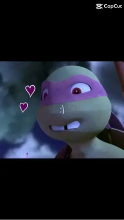 ❤️🧡💜💙🐢